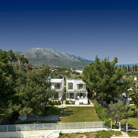 Marvelous Beach House Ερέτρια Εξωτερικό φωτογραφία